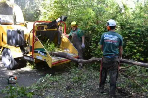 tree services Wyoming